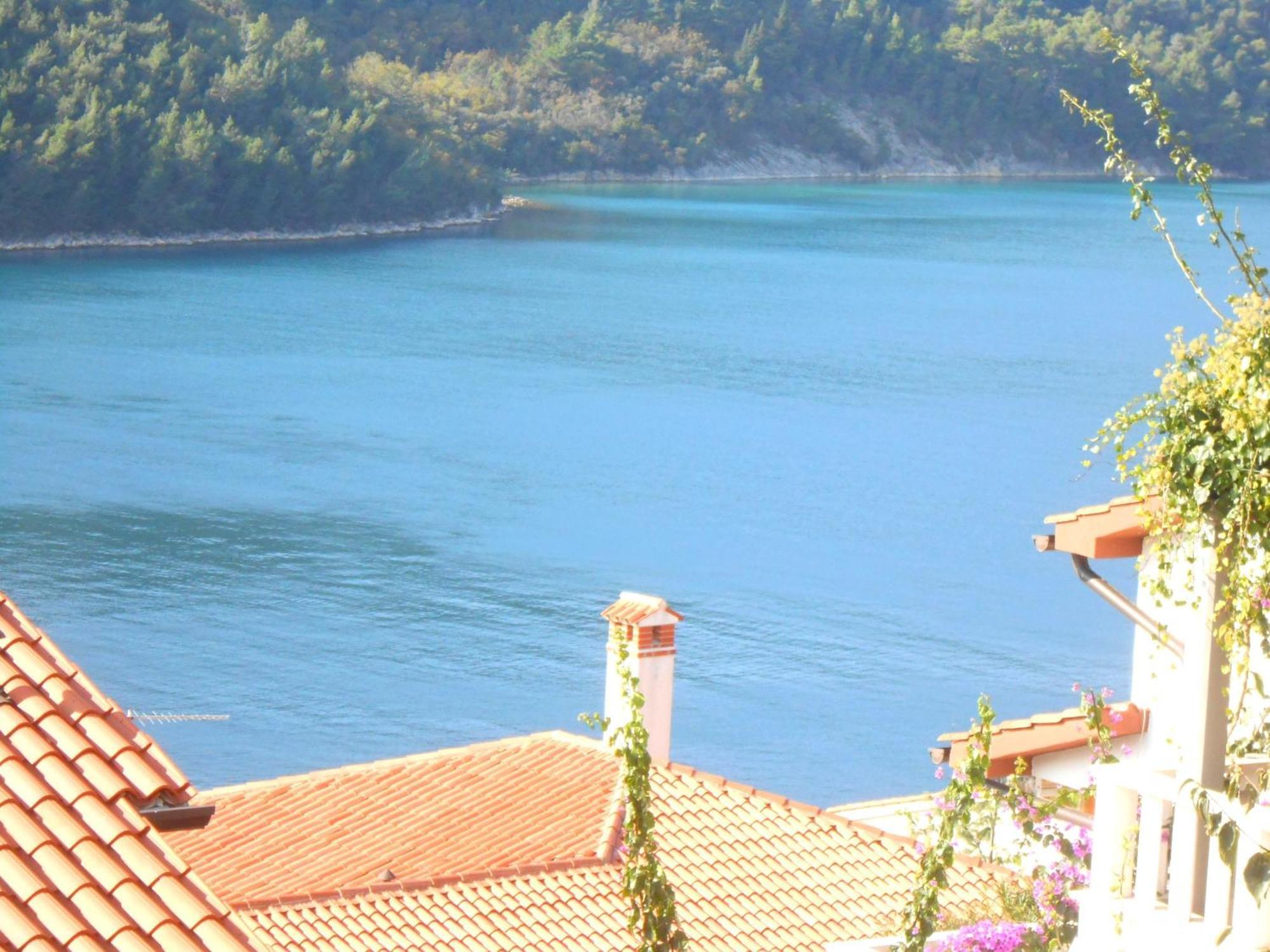 Luma * Labin (Istria)