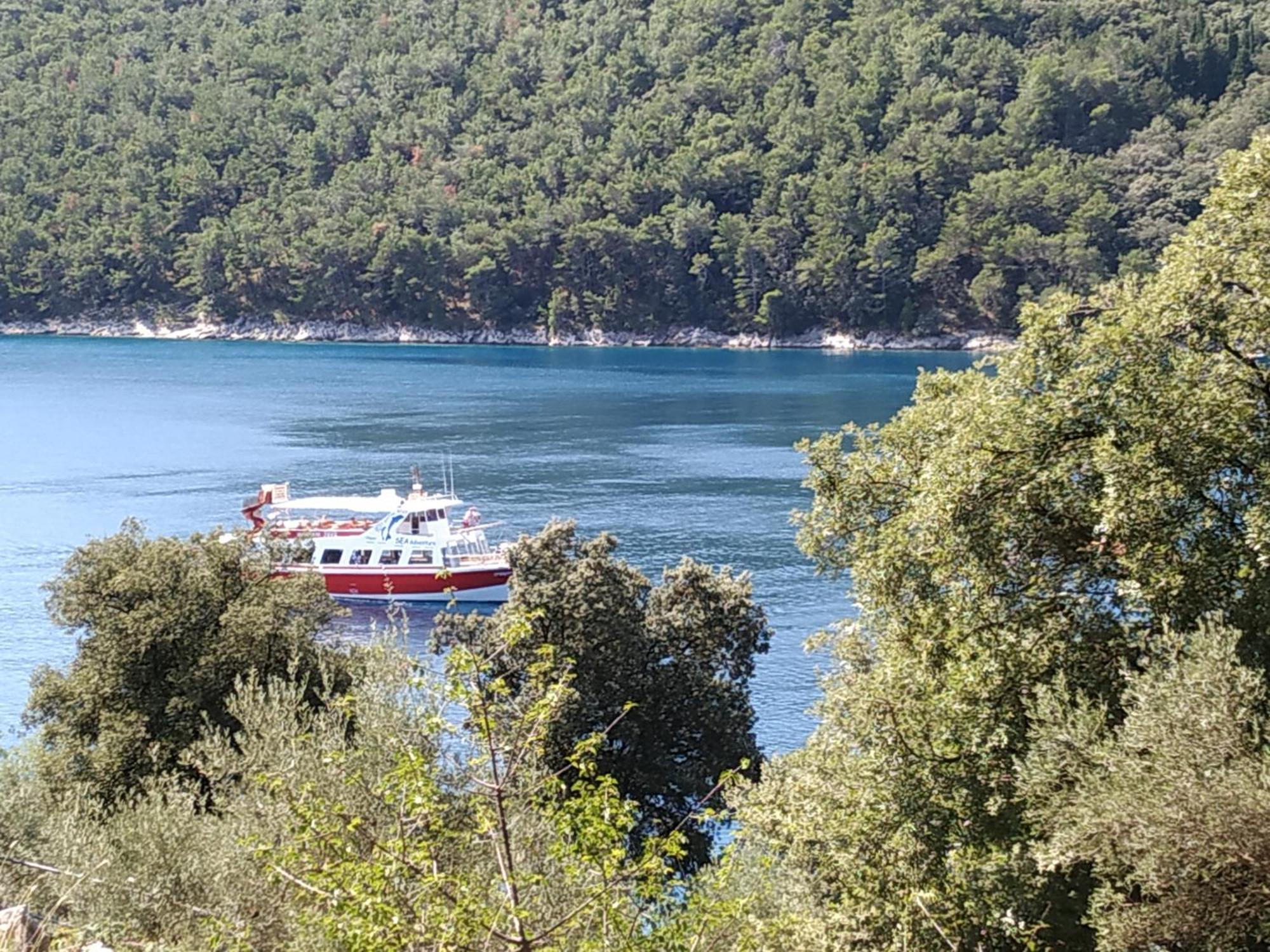 Luma Apartment Labin (Istria)