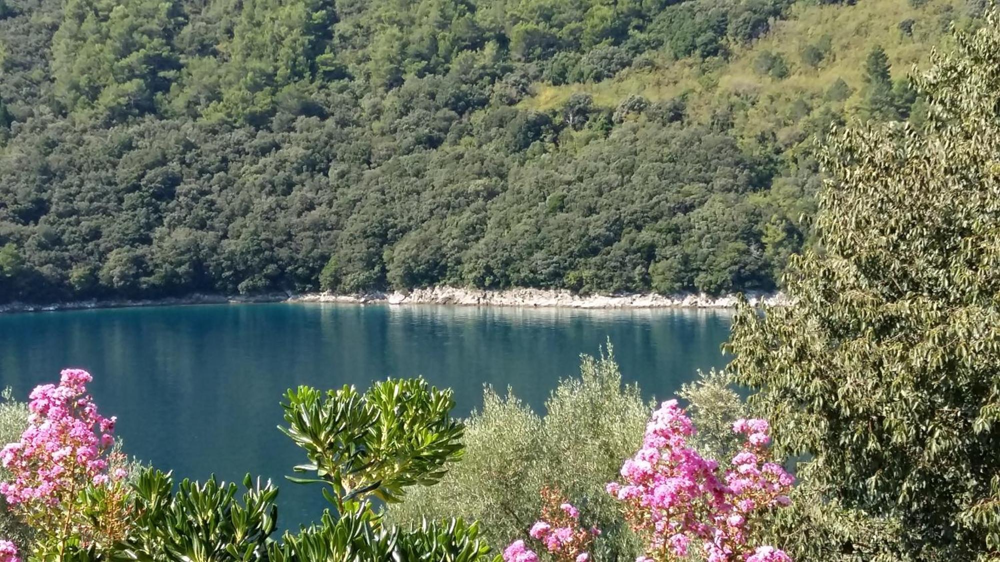 Luma Apartment Labin (Istria)